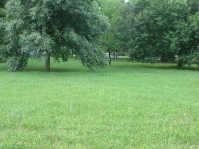 410 E Superior St, Wayland, MI 49348 - photo 2