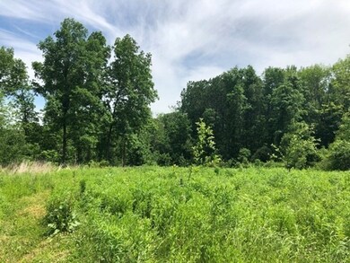 Lots R,1&2 Waite Corner & Collins Rd, North Brookfield, MA 01535 - photo 4