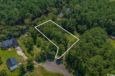 5238 Alligator Ct unit Lot 17 Caines Landin, Conway, SC 29526 - photo 7