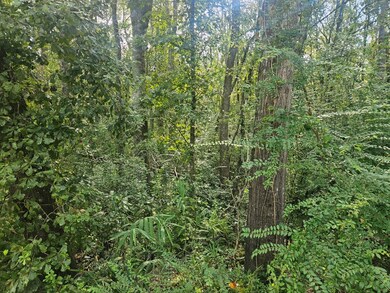 0 Twin Oaks Rd unit 144769, Ray City, GA - photo 2