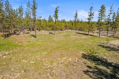 5742 Corkscrew Canyon Rd unit Lot 3, Tumtum, WA 99034 - photo 3