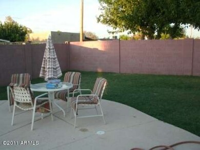 Amazing Back Yard