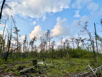 Parcel #H Town Line Rd, Lewiston, MI 49756 - photo 7