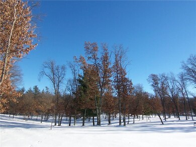 Lot 5 Minerva Rd, Danbury, WI 54830 - photo 4