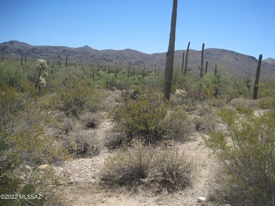 XX Derio, Marana, AZ 85658 - photo 2