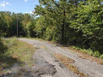 L-35, 36, B-7 Pahokee Dr, Cherokee Village, AR 72529 - photo 5