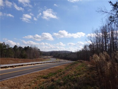 0 Lewis Thomas Rd, Grant, NC 27205 - photo 5