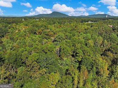 5519 Cleveland Hwy, Clermont, GA 30527 - photo 7