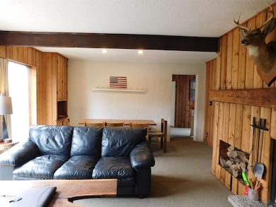 3 Bromley Forest Rd, Winhall, VT 05340 - photo 3