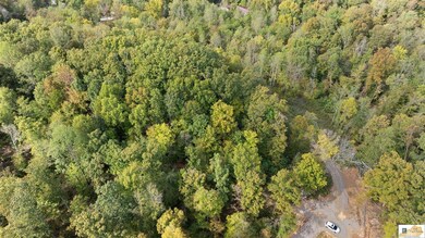 0 White Oak Rd, Cub Run, KY 42729 - photo 5