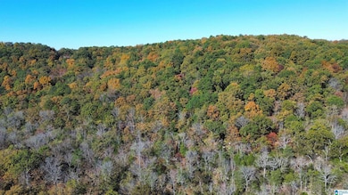 0 Mill Creek Rd unit 21437437, Warrior, AL 35180 - photo 5