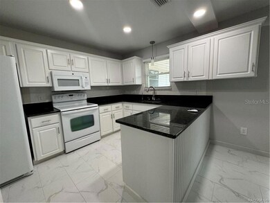 461 E Gilchrist Ct, Hernando, FL 34442 - photo 3