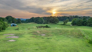 2407-A Diggs Rd, Knoxville, TN 37932 - photo 2