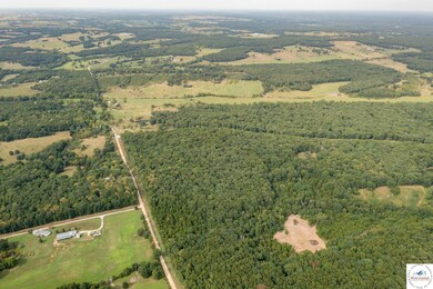 000 Luetjen Ave, Cole Camp, MO 65325 - photo 5