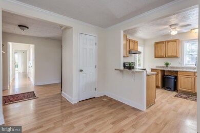 123 Harrison Ln, Winchester, VA 22602 - photo 4