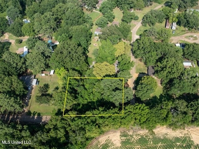 0 Debbie Dr, Canton, MS 39046 - photo 7