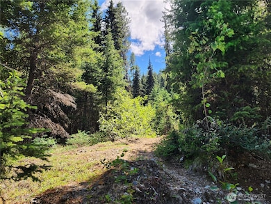 0 XX E Fork Cougar Creek Rd, Wauconda, WA 98859 - photo 2