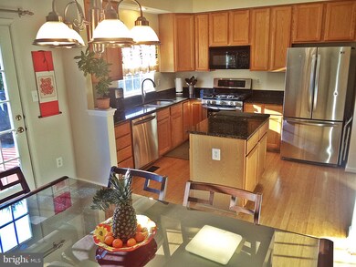 20916 Mountain Lake Terrace, Germantown, MD 20874 - photo 3