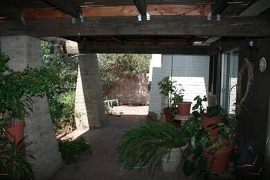 Back Patio
