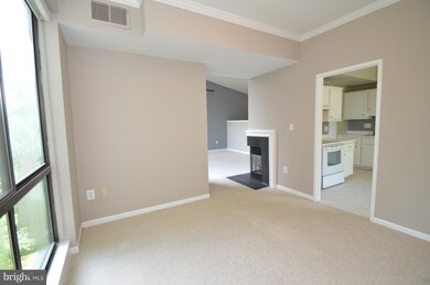 11556 Rolling Green Ct unit 300, Reston, VA 20191 - photo 7