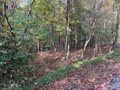 00 Country Walk, Franklin, NC 28734 - photo 3