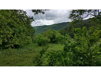 Raw Tennessee countryside