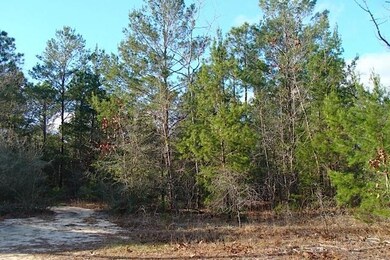 Wooded Lot on Cul-de-Sac