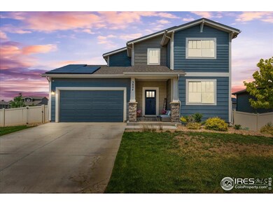 3804 Buckthorn St, Wellington, CO 80549 - photo 4