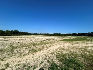 20.26+-ac Cecil Varnum Rd, Dothan, AL 36301 - photo 2