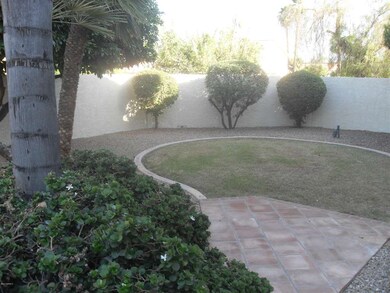 Back/Side Yard