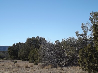 0 W Gunsite Rd, Paulden, AZ 86334 - photo 4
