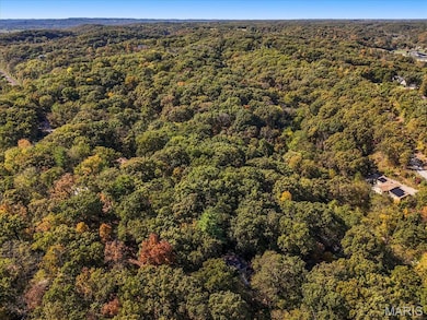 659 Castlecliff Rd, Meramec Township, MO 63021 - photo 6