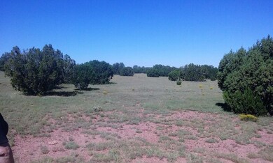 40 acre Ranch