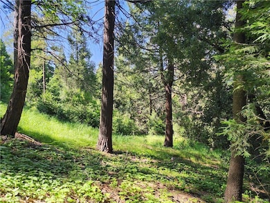 0 Deer unit 32501369, Crestline, CA 92325 - photo 3