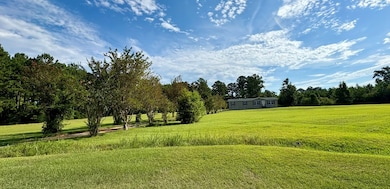 6115 Ruben St, Albany, GA 31705 - photo 3