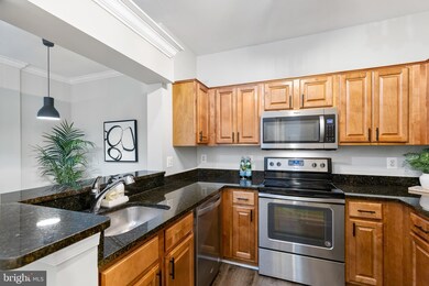 4550 Strutfield Ln unit 2127, Alexandria, VA 22311 - photo 3