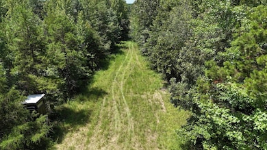 1476 Major Hill Rd, Bethel Springs, TN 38315 - photo 5