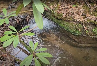 0 Falls Rd unit 1000715, Scaly Mountain, NC 28775 - photo 2