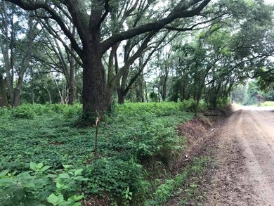 000 Leahs Row, Ambrose, GA 31512 - photo 2