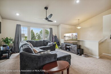 07-82-Lake-Ridge-Dr-Mason-MI-48854-Windo