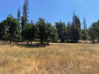 200 Creek Crossing Rd, Hayfork, CA 96041 - photo 6