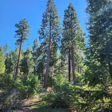 0 Ca-44 unit 25-4746, Shingletown, CA 96088 - photo 7