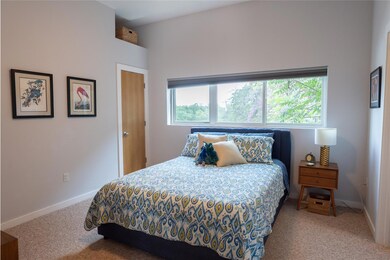 Carpeted bedroom featuring multiple windows