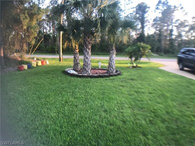 Nice front yard.