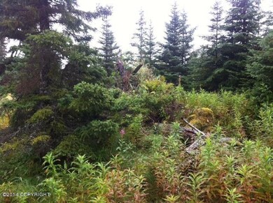 photo 5 (14)