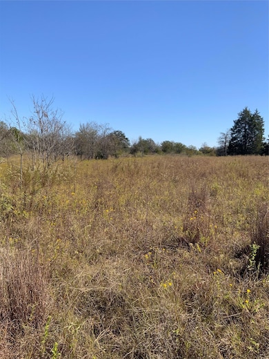 000 County Road 304, Lexington, TX 78947 - photo 4