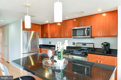 Ventana unit 907, Washington, DC 20004 - photo 6