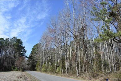 0 Lewis Tyler Lane (Rt 620) Ave unit 2304681, Charles City, VA 23030 - photo 5