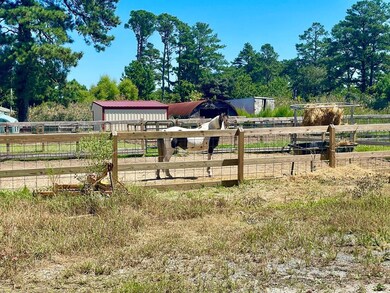 8159 Marsh Point, Chincoteague Island, VA 23336 - photo 2