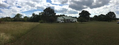 225 Whitaker Bend Rd, Linden, TN 37096 - photo 3